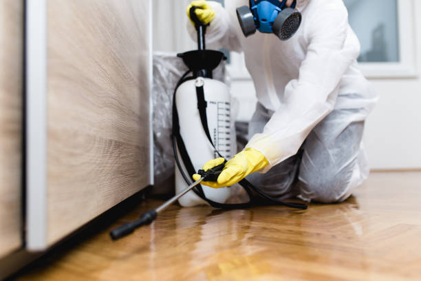 Best Pest Control Near Me in Springfield, VA