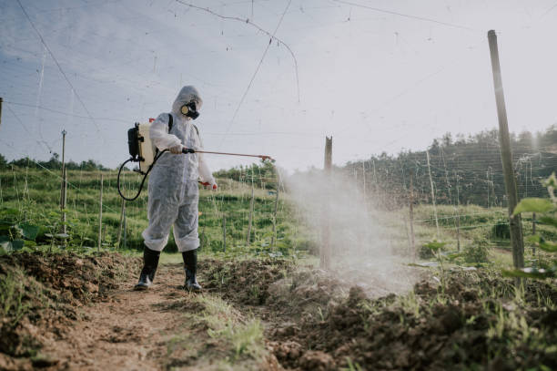 Best Mosquito Control Services  in Springfield, VA