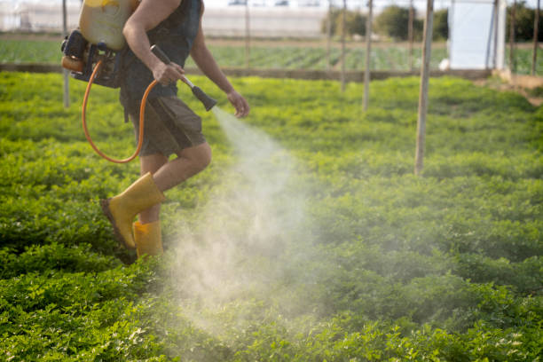 Professional Pest Control in Springfield, VA