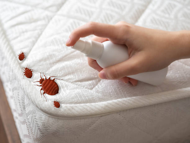 Best Pest Inspection Near Me  in Springfield, VA